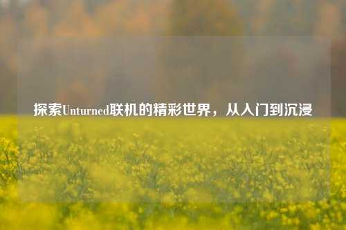 探索Unturned联机的精彩世界，从入门到沉浸