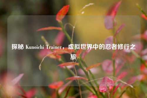 探秘 Kunoichi Trainer，虚拟世界中的忍者修行之旅