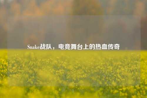 Snake战队，电竞舞台上的热血传奇