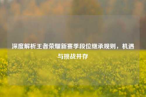 深度解析王者荣耀新赛季段位继承规则，机遇与挑战并存