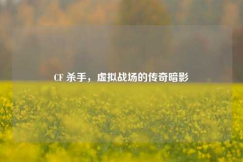 CF 杀手，虚拟战场的传奇暗影