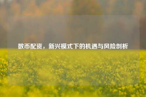 数币配资，新兴模式下的机遇与风险剖析