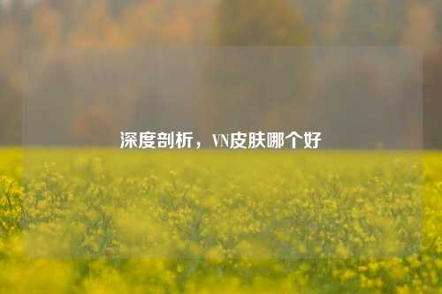 深度剖析，VN皮肤哪个好