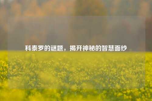 科泰罗的谜题，揭开神秘的智慧面纱