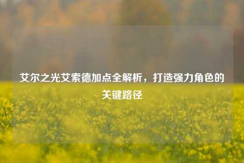 艾尔之光艾索德加点全解析，打造强力角色的关键路径