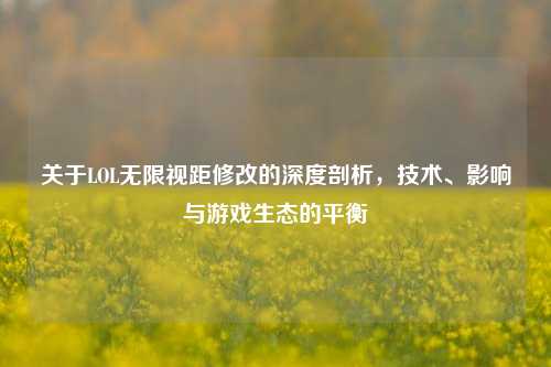 关于LOL无限视距修改的深度剖析，技术、影响与游戏生态的平衡