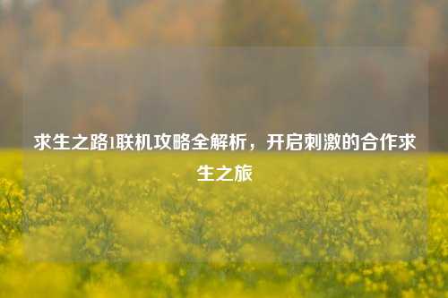 求生之路1联机攻略全解析，开启刺激的合作求生之旅