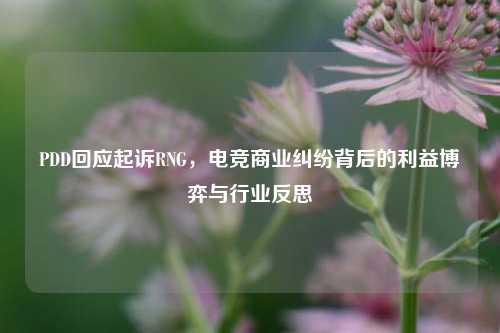 PDD回应起诉RNG，电竞商业纠纷背后的利益博弈与行业反思
