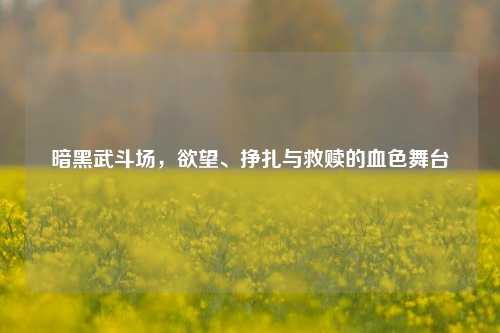 暗黑武斗场，欲望、挣扎与救赎的血色舞台