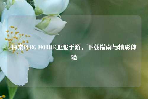 探索PUBG MOBILE亚服手游，下载指南与精彩体验