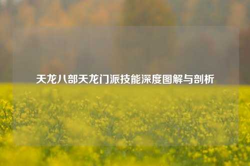 天龙八部天龙门派技能深度图解与剖析