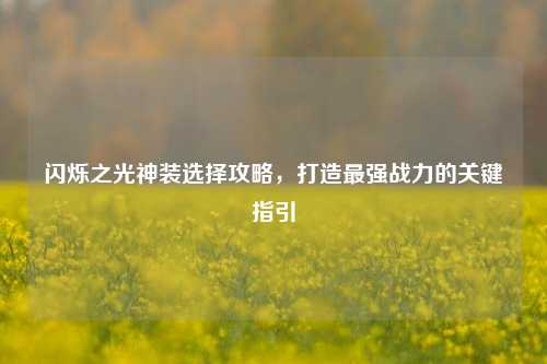 闪烁之光神装选择攻略，打造最强战力的关键指引