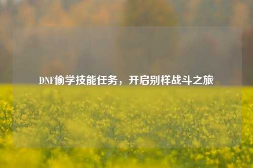 DNF偷学技能任务，开启别样战斗之旅
