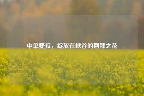 中单婕拉，绽放在峡谷的荆棘之花