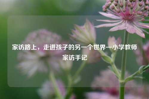 家访路上，走进孩子的另一个世界—小学教师家访手记