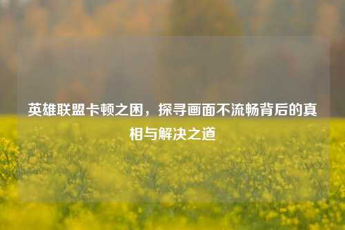 英雄联盟卡顿之困，探寻画面不流畅背后的真相与解决之道
