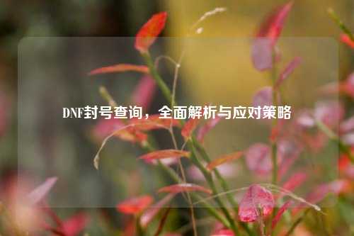 DNF封号查询，全面解析与应对策略
