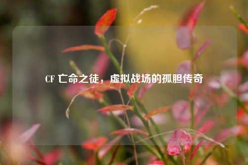 CF 亡命之徒，虚拟战场的孤胆传奇