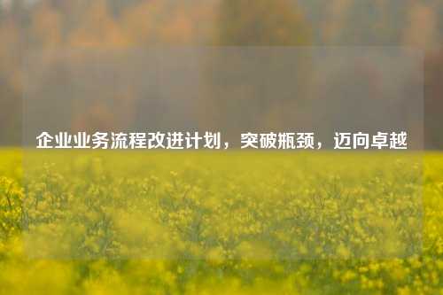 企业业务流程改进计划,突破瓶颈,迈向卓越