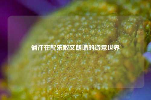 徜徉在配乐散文朗诵的诗意世界