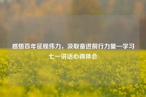 感悟百年征程伟力，汲取奋进前行力量—学习七一讲话心得体会