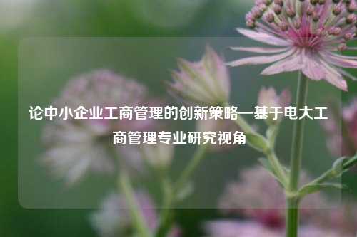 论中小企业工商管理的创新策略—基于电大工商管理专业研究视角