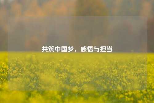 共筑中国梦，感悟与担当