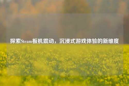 探索Steam板机震动，沉浸式游戏体验的新维度