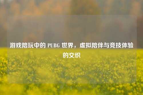 游戏陪玩中的 PUBG 世界，虚拟陪伴与竞技体验的交织