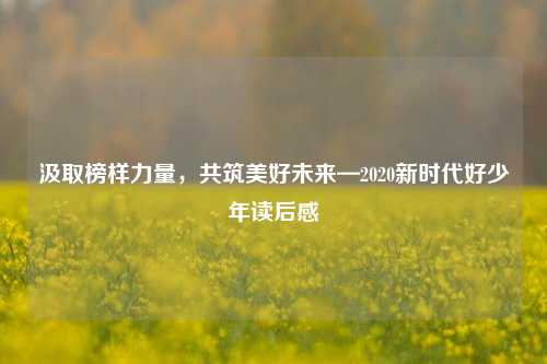 汲取榜样力量，共筑美好未来—2020新时代好少年读后感