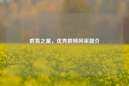 教育之星，优秀教师风采简介