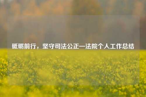 砥砺前行，坚守司法公正—法院个人工作总结