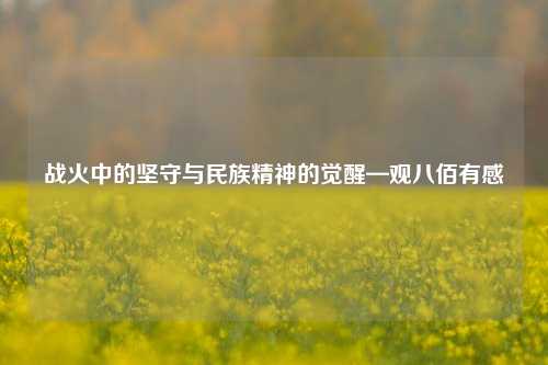 战火中的坚守与民族精神的觉醒—观八佰有感