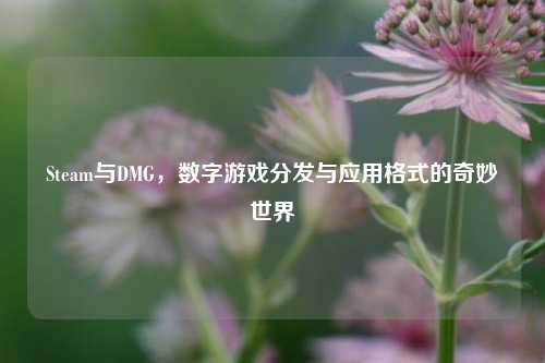 Steam与DMG，数字游戏分发与应用格式的奇妙世界