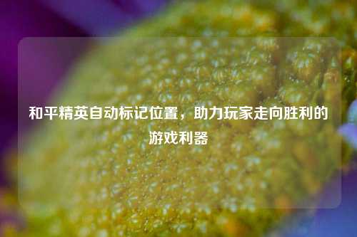 和平精英自动标记位置，助力玩家走向胜利的游戏利器