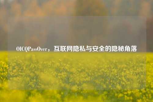 OICQPassOver，互联网隐私与安全的隐秘角落