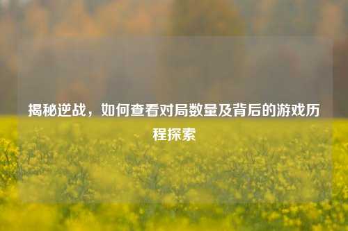 揭秘逆战，如何查看对局数量及背后的游戏历程探索