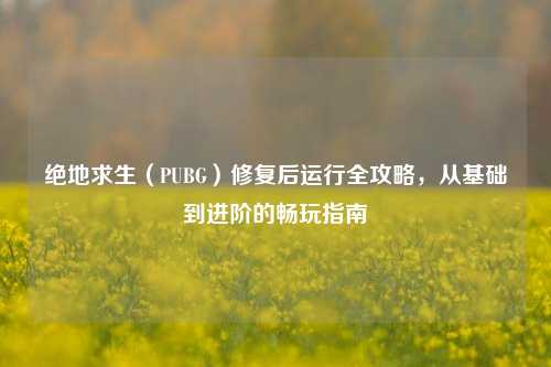 绝地求生（PUBG）修复后运行全攻略，从基础到进阶的畅玩指南