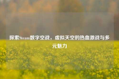 探索Steam数字空战，虚拟天空的热血激战与多元魅力