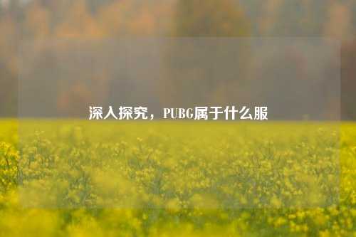 深入探究，PUBG属于什么服