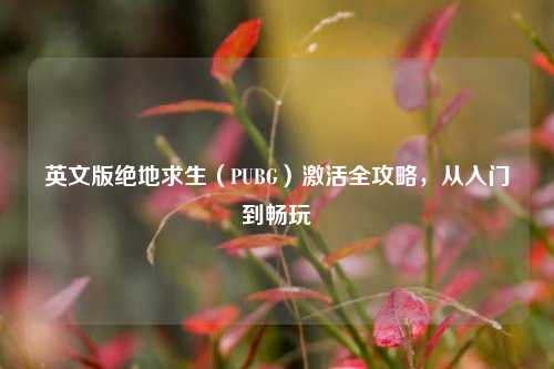 英文版绝地求生（PUBG）激活全攻略，从入门到畅玩