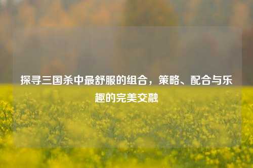 探寻三国杀中最舒服的组合，策略、配合与乐趣的完美交融