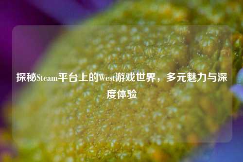 探秘Steam平台上的West游戏世界,多元魅力与深度体验