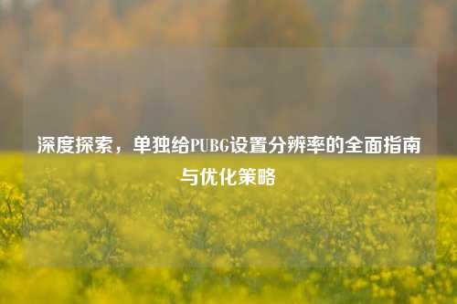 深度探索，单独给PUBG设置分辨率的全面指南与优化策略