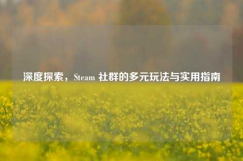 深度探索，Steam 社群的多元玩法与实用指南