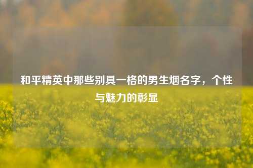 和平精英中那些别具一格的男生烟名字，个性与魅力的彰显