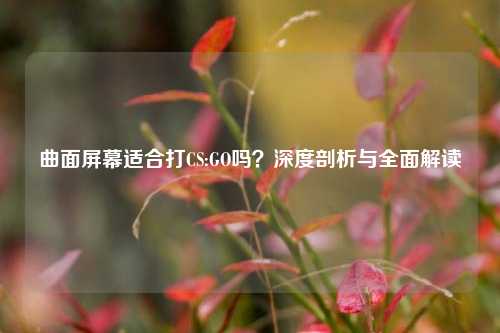 曲面屏幕适合打CS:GO吗？深度剖析与全面解读