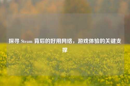 探寻 Steam 背后的好用网络，游戏体验的关键支撑