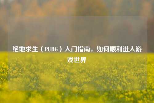 绝地求生（PUBG）入门指南，如何顺利进入游戏世界