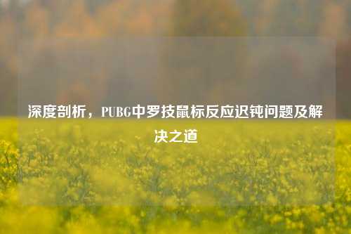 深度剖析，PUBG中罗技鼠标反应迟钝问题及解决之道